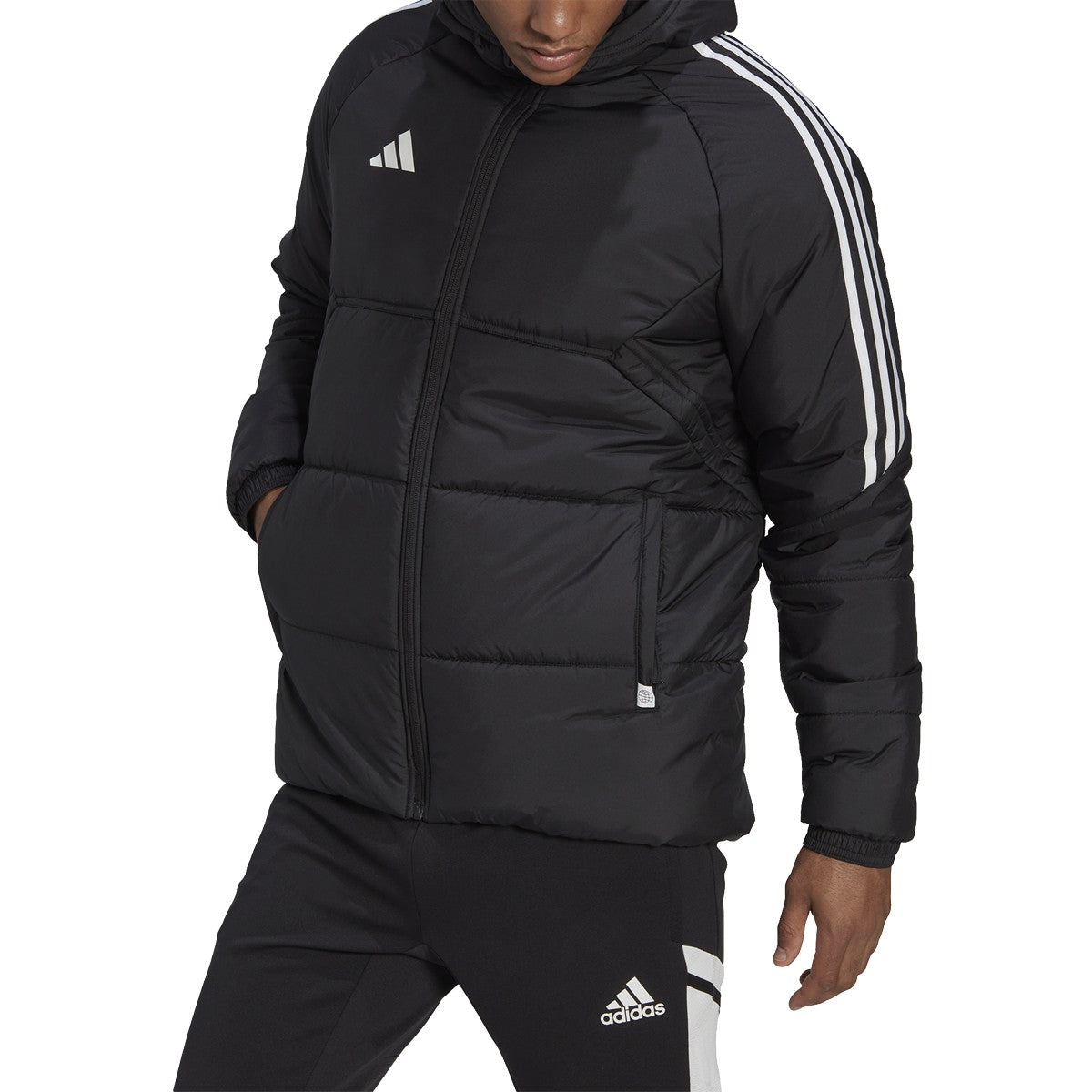 adidas, Adidas Condivo22 Winter Jacket